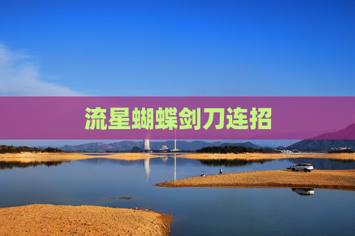 流星蝴蝶剑刀连招