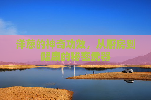 洋葱的神奇功效，从厨房到健康的秘密武器