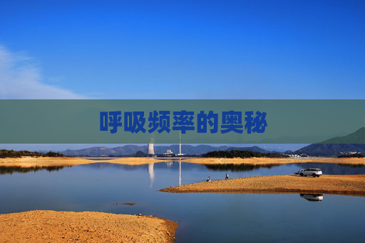 呼吸频率的奥秘