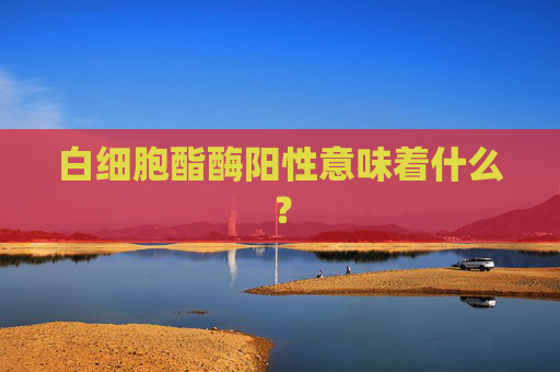 白细胞酯酶阳性意味着什么？