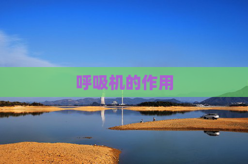 呼吸机的作用