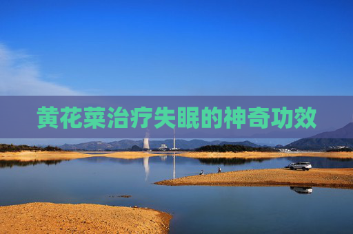 黄花菜治疗失眠的神奇功效