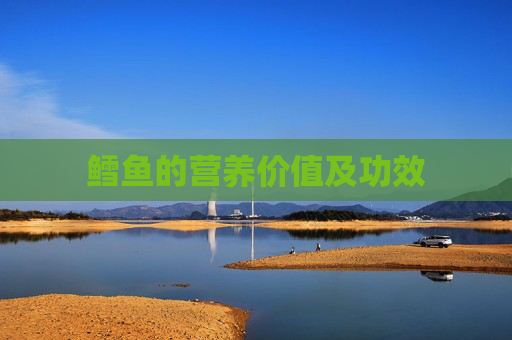 鳕鱼的营养价值及功效 鳕鱼的营养价值及功效
