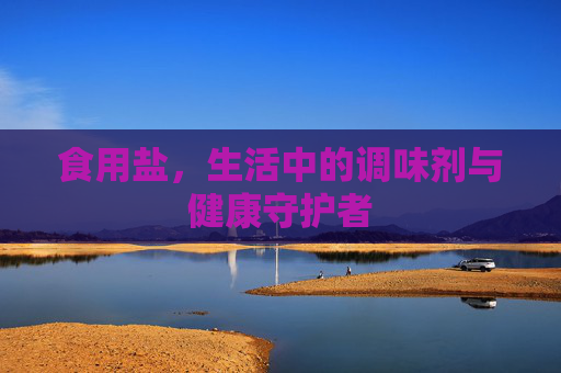 食用盐，生活中的调味剂与健康守护者