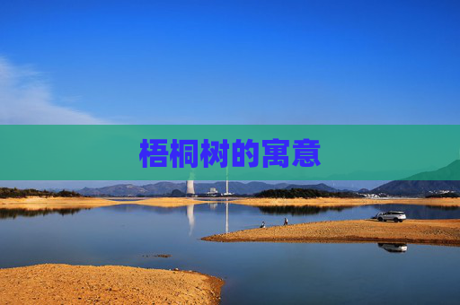 梧桐树的寓意