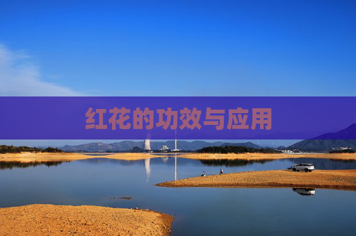 红花的功效与应用