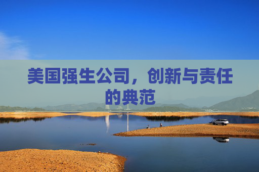 美国强生公司，创新与责任的典范