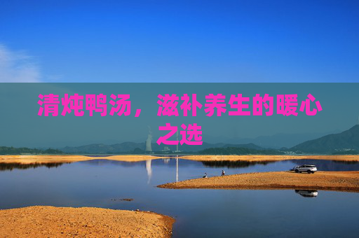 清炖鸭汤，滋补养生的暖心之选