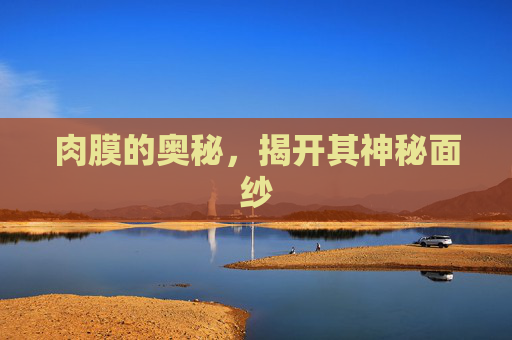 肉膜的奥秘，揭开其神秘面纱