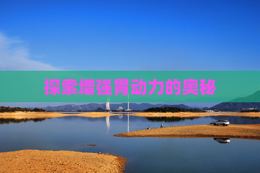 探索增强胃动力的奥秘