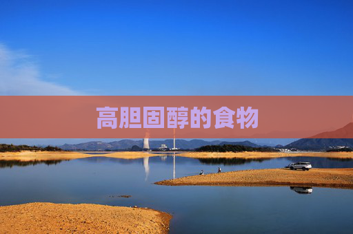 高胆固醇的食物