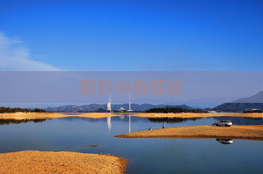 硼砂中毒症状