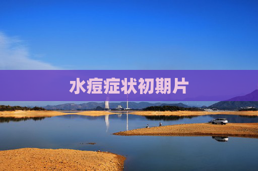 水痘症状初期片