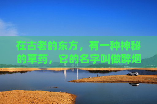 在古老的东方，有一种神秘的草药，它的名字叫做醉烟。这种草药生长在深山之中，被人们称为仙草，因为它能够让人忘却尘世的烦恼，进入一种梦幻般的境界