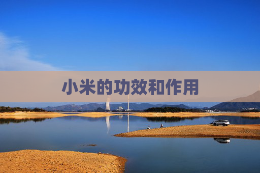 小米的功效和作用