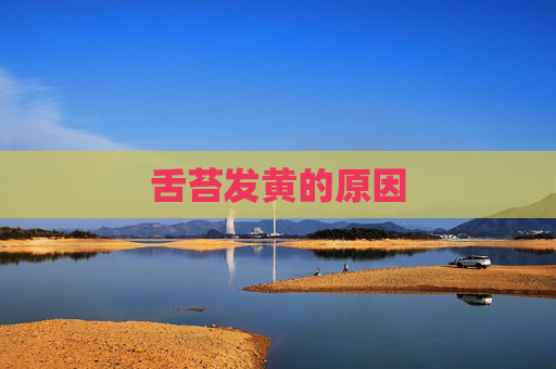 舌苔发黄的原因