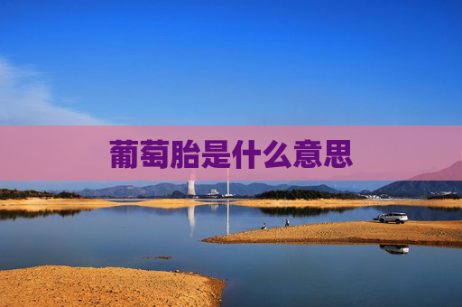 葡萄胎是什么意思