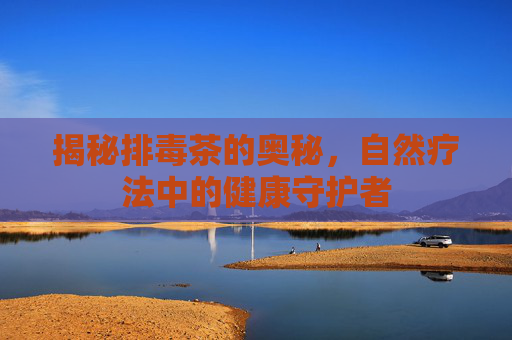 揭秘排毒茶的奥秘，自然疗法中的健康守护者