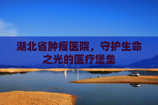 湖北省肿瘤医院，守护生命之光的医疗堡垒
