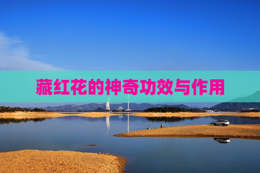 藏红花的神奇功效与作用