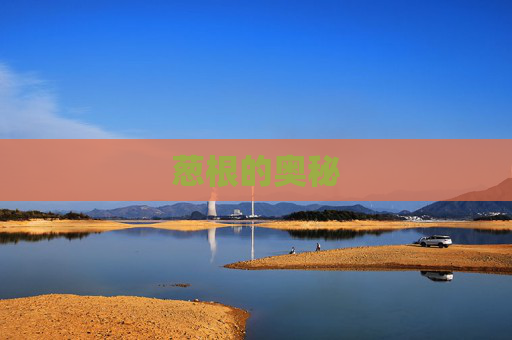 葱根的奥秘