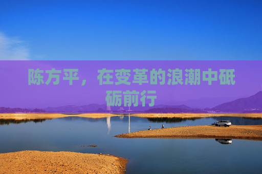 陈方平，在变革的浪潮中砥砺前行