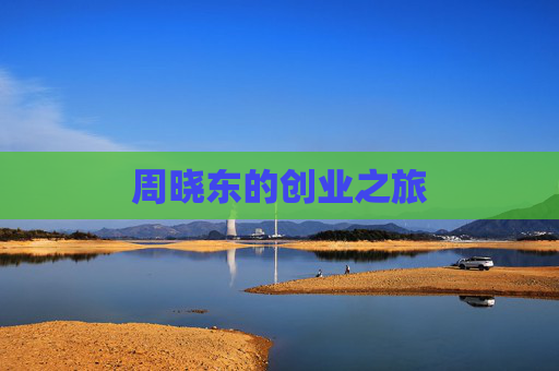 周晓东的创业之旅