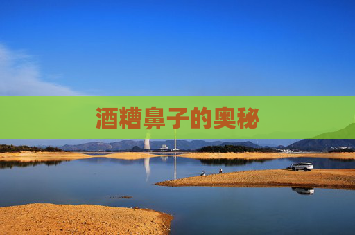 酒糟鼻子的奥秘