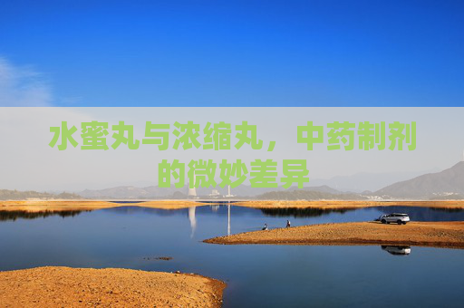 水蜜丸与浓缩丸，中药制剂的微妙差异