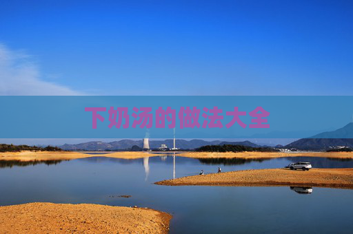 下奶汤的做法大全