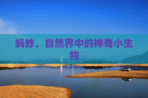 蚂蚱，自然界中的神奇小生物