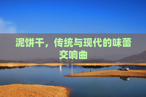 泥饼干，传统与现代的味蕾交响曲
