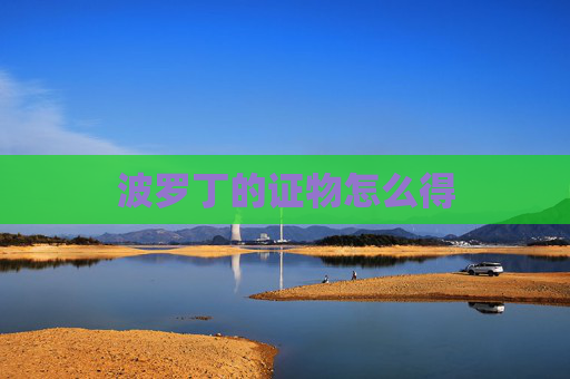 波罗丁的证物怎么得