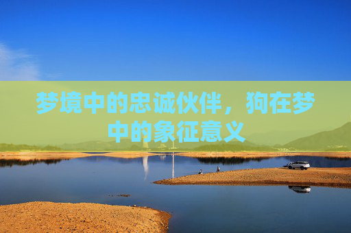 梦境中的忠诚伙伴，狗在梦中的象征意义