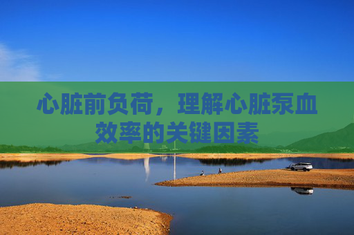 心脏前负荷，理解心脏泵血效率的关键因素