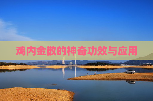 鸡内金散的神奇功效与应用