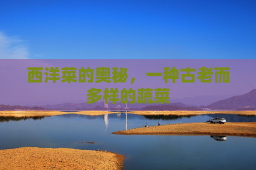 西洋菜的奥秘，一种古老而多样的蔬菜
