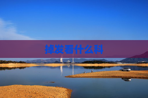 掉发看什么科