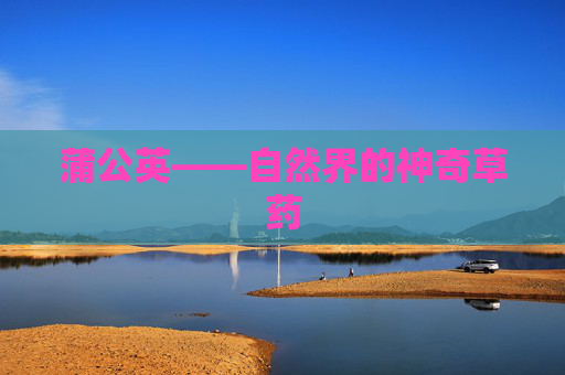 蒲公英——自然界的神奇草药