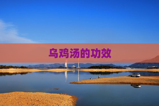 乌鸡汤的功效