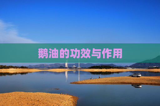 鹅油的功效与作用 鹅油的功效与作用