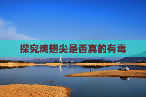 探究鸡翅尖是否真的有毒