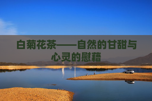 白菊花茶——自然的甘甜与心灵的慰藉