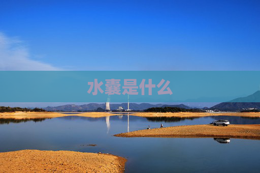 水囊是什么