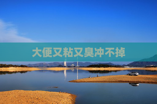 大便又粘又臭冲不掉