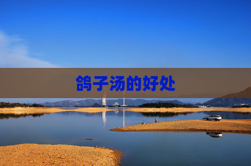 鸽子汤的好处