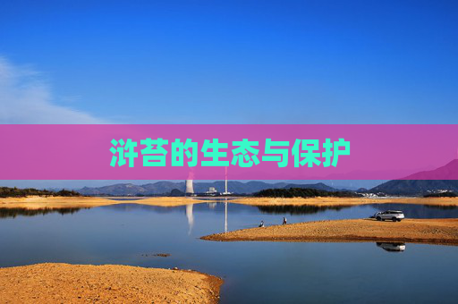 浒苔的生态与保护