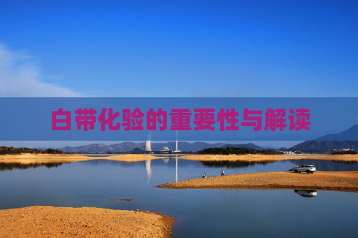 白带化验的重要性与解读