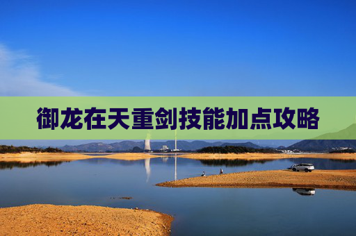 御龙在天重剑技能加点攻略