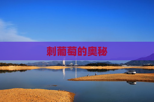 刺葡萄的奥秘